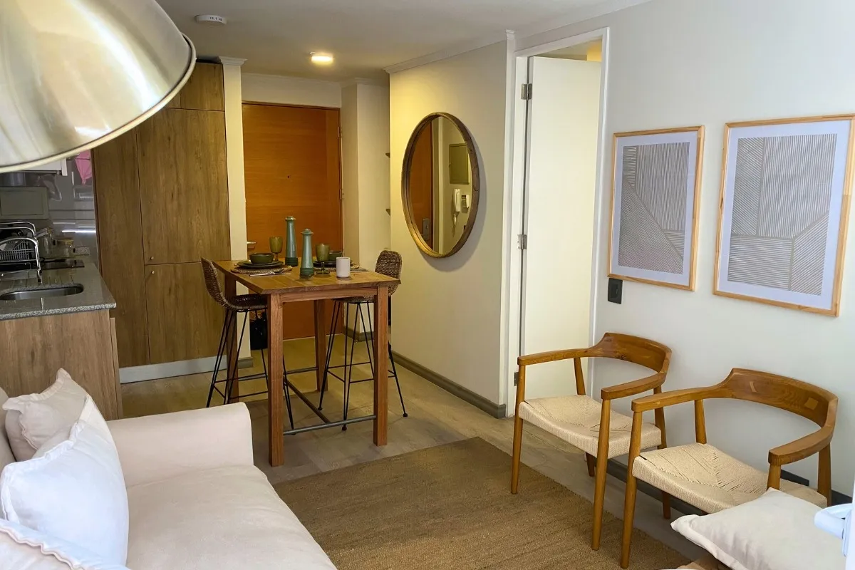 Imagen 5 de 20 de Arriendo De Departamento En Santiago. 1 Dormitorio, 1 Baño.