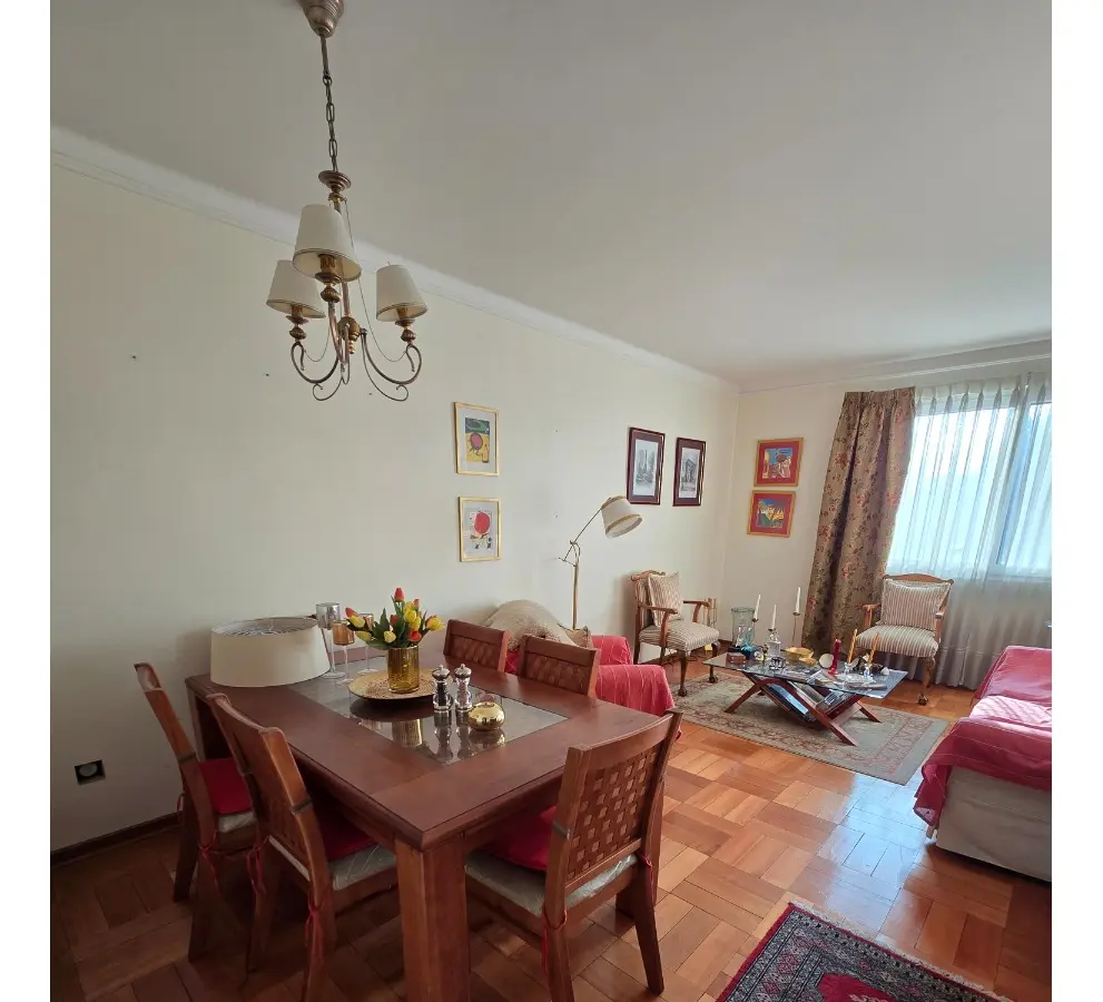 Imagen 3 de 19 de Departamento En Venta En Providencia