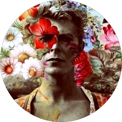 David Bowie Flower Slipmat Para Bandeja Latex Lo Mejor
