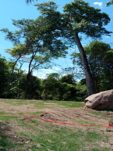 Chácara Com 20.000m De Terreno No Condomínio Jardim Dos Laranjais - Ch00415 - 69029326