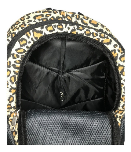 Imagen 3 de 5 de Mochila Bolso Transportador Mascotas Perro Gato Microcentro