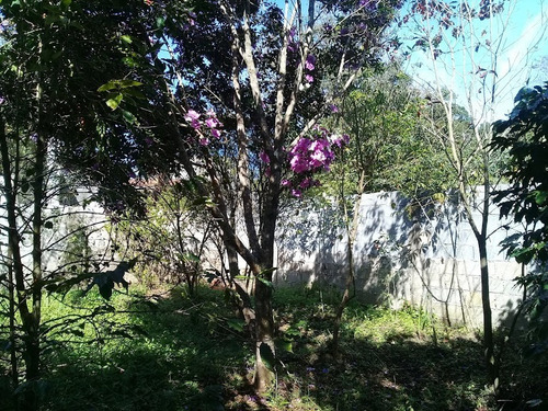 Imagem 7 de 20 de Chácara / / Mairinque-sp - 68422914