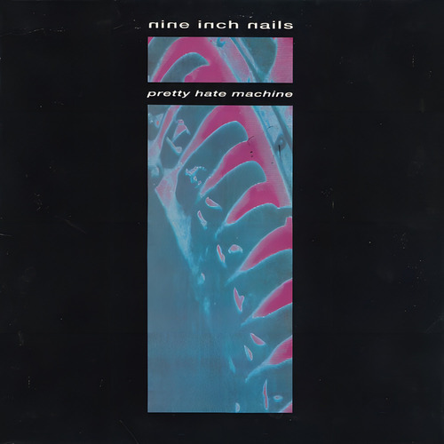 Vinil Nine Inch Nails Pretty Hate Machine