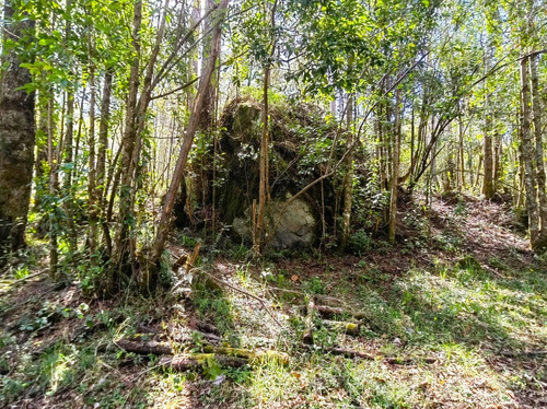 Parcelas Sin Comision 5000 M2 - Bosque Chollinco - Llifén