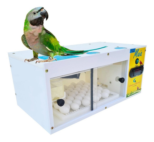 Chocadeira Automática Para Pássaros Maia Da Chocmaster 127v