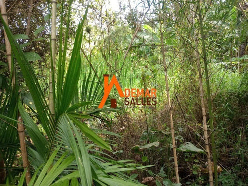 Imagem 13 de 30 de Chacara - Ch00120 - 70787182