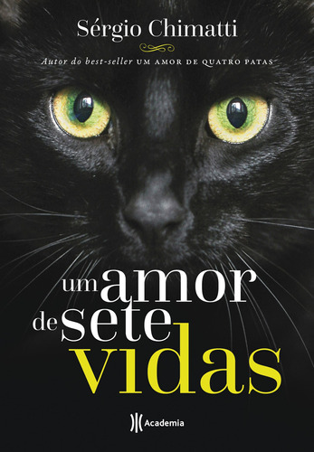 Um amor de sete vidas, de Chimatti, Sérgio. Editora Planeta do Brasil Ltda., capa mole em português, 2018