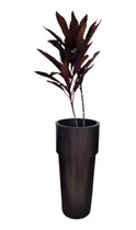 Comprar Vaso Alto Plantar 85x30 Decoração Espada São Jorge Podocarpo