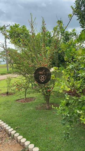 Imagem 13 de 15 de Lindo Sobrado Com 4 Dormitórios No Ninho Verde 1 - 96