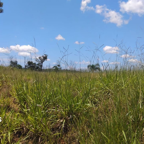 Terreno À Venda Próximo A Santa Isabel E Igaratá, Sp
