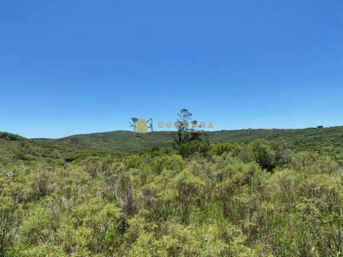 Campo Con Casa, Tajamar Monte Natural Muy Cerca De Aigua Consulte.- Ref: 1552