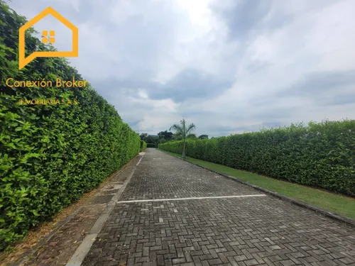 Venta De Lotes - Conjunto San Jeronimo - Anapoima C/marca
