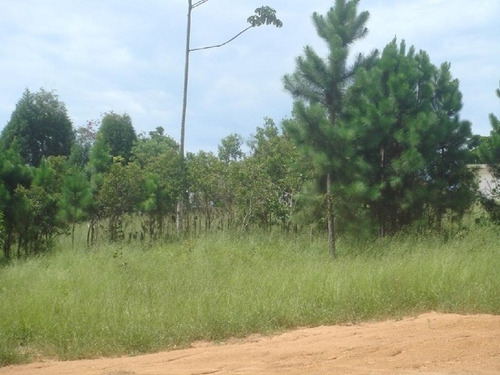 Imagem 4 de 6 de Terreno Para Venda, 0.0 M2, Vila Nova Aparecida - Mogi Das Cruzes - 1650
