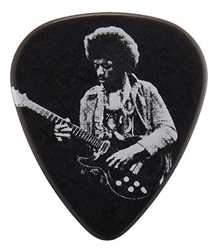 Dunlop Jhpt06 M Jimi Hendrix Plata Serie De Retratos Pick Es