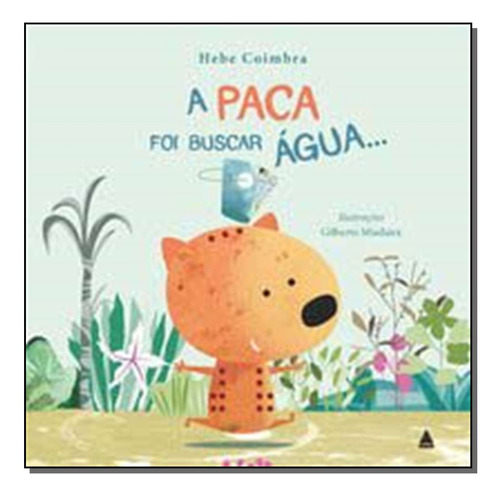 Libro Paca Foi Buscar Agua A De Hebe Coimbra Nova Fronteira