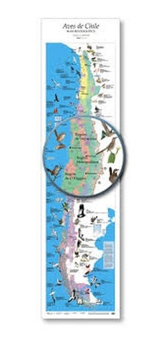 Aves De Chile Mapa Biogeográfico - Planeta Sostenible