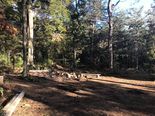 Imagen 10 de 27 de Lote De 3.079m2 En Bº Calfuco A Metros Del Lago Nahuel Huapi, Villa La Angostura