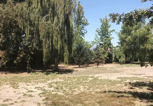Parque Con Árboles Ornamentales Y Laguna