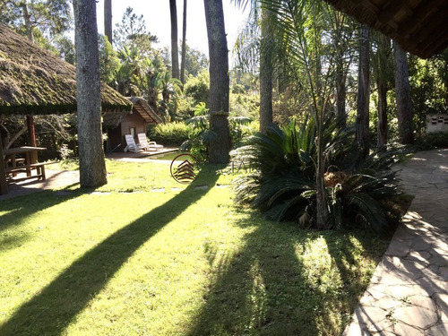 Imagen 20 de 23 de Casa En Pinares 3 Dormitorios Con Piscina Y Parrillero - Punta Del Este Pinares