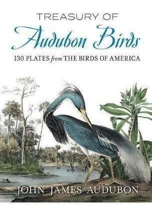 Treasury Of Audubon Birds : 130 Plates From The Birds Of Ame