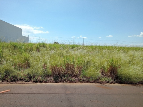 Imagem 3 de 10 de Terreno - Te00241 - 69321133