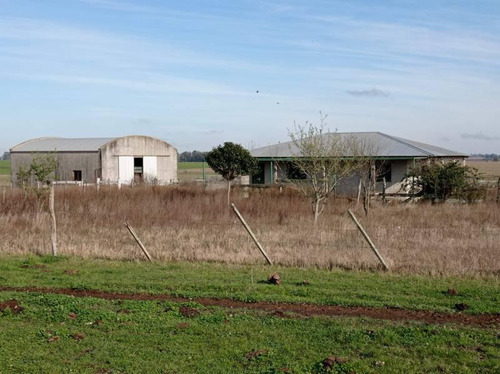 Imagen 22 de 23 de Campo Agrícola En Gualeguaychú (camino De Rojas)