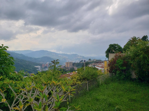 Los Naranjos Del Cafetal Hermosa Vista Calle Privada Vigilancia Tanque 10.000lts Renovada 2 Cocinas 4h/5b/4 Puestos Súper Oportunidad!! Hermosa Vista Oportunidad
