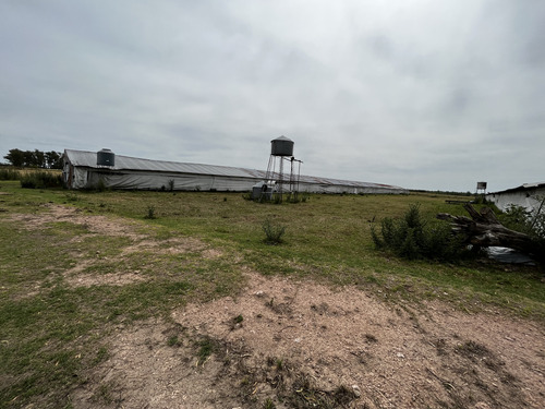 Vendo Campo De 20 Hectáreas En Ruta J, Entre Ríos.