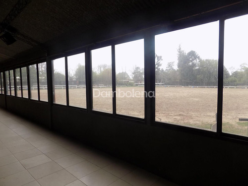 Hipico En Venta En Paso Del Rey, Moreno, G.b.a. Zona Oeste