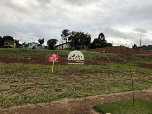 Imagem 3 de 5 de Terreno À Venda, Novacap - Cascavel/pr - 12084