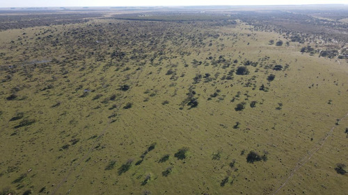 Imagen 5 de 10 de Venta Campo Ganadero 468 Has Norte De Entre Ríos