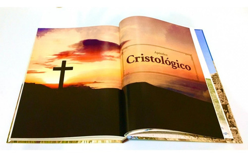 Enciclopédia Histórica Da Vida De Jesus - Rodrigo Silva