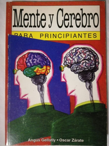 Mente Y Cerebro Para Principiantes