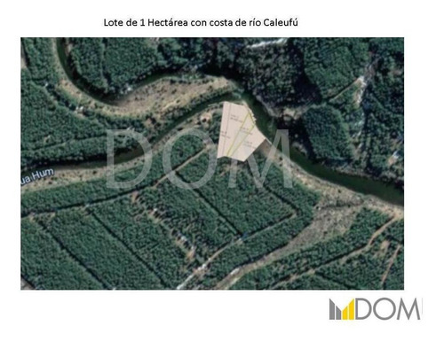 Imagen 12 de 13 de Impresionante Lote De 1ha Con Costa De Río