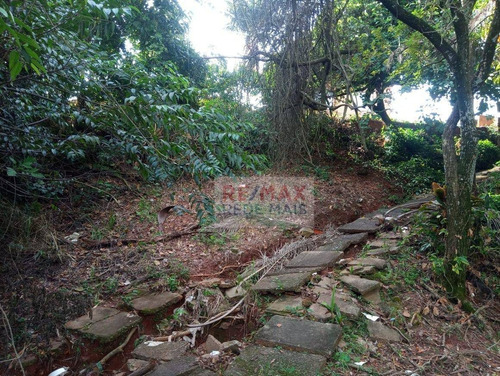 Imagem 9 de 11 de Terreno No Recanto Azul - Próx. Av. Vital Brasil - Te0158