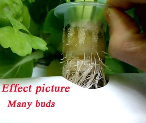 36 Hoyos Sitio Crecer Kit Profundo Agua Cultura Jardin Sist