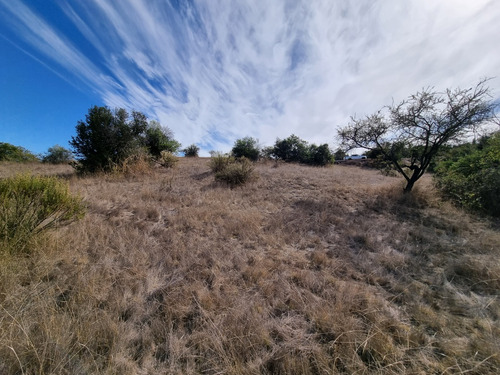 Lote 5000 M2 En Ranquilhue, Pumanque Limite Con Marchigue