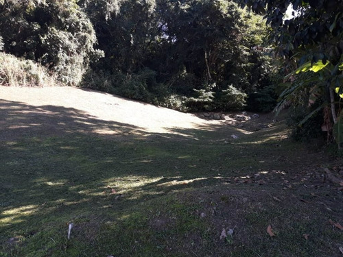Imagem 7 de 10 de Terreno Em Piratininga, Niterói/rj De 1017m² À Venda Por R$ 370.000,00 - Te1153267-s