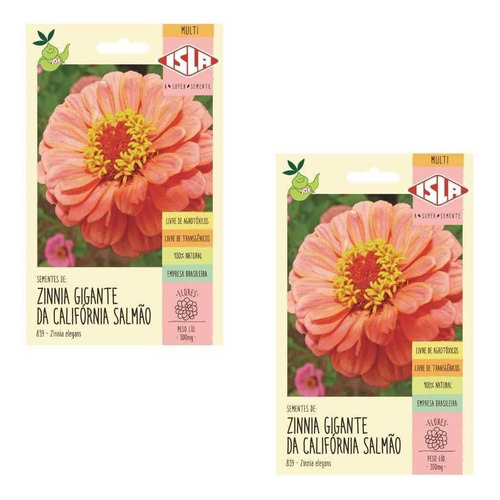 2x Semente Zinnia Dahliaflora Salmão Gigante Califórnia Isla