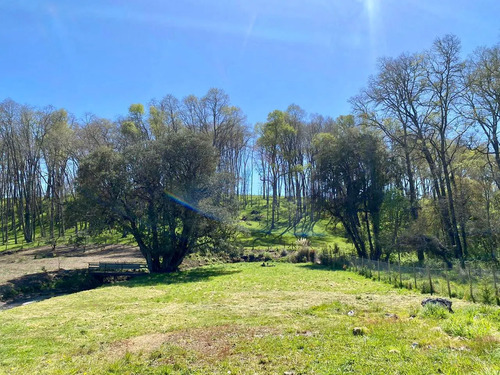 Parcela, Senderos De Pilauco (63944)