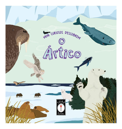 Livro Mini Curiosos Descobrem O Ártico