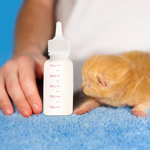 1 Juego De Biberones Pequeños De 50 Ml Para Mascotas Recién