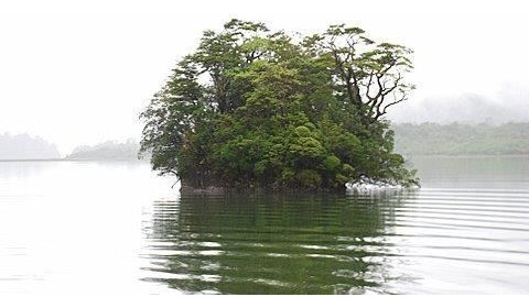 Agrícola En Venta En Cisnes