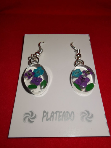 Arete Baño De Plata Ovalo Con Naturaleza 