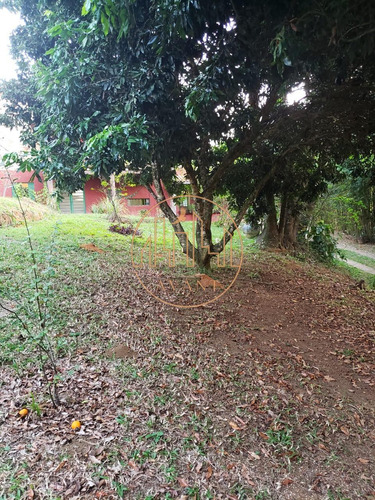 Imagem 12 de 14 de Chácara À Venda Em Condomínio - Sjc