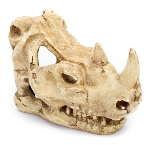 Penn Plax Rhino Skull Aquarium Ornament