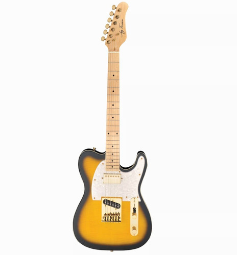 Imagen 1 de 3 de Guitarra Telecaster Custom Deluxe Jay Turser Jt-ltcustomdlx