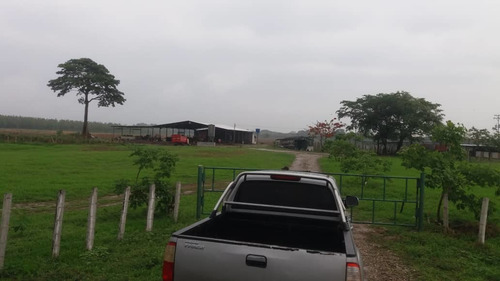 Imagen 4 de 8 de Finca En Barinas, San Rafael De Canagua, Mun. Pedraza En Venta