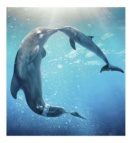 Vinilo 20x20cm Delfines Madre Hijo En El Agua Abrazo