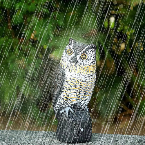 Un Búho Vocal , Repele A Los Pájaros
